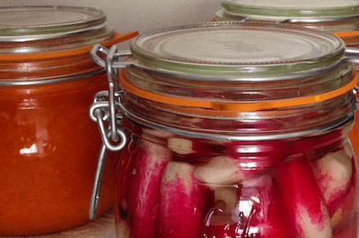 La lactofermentation