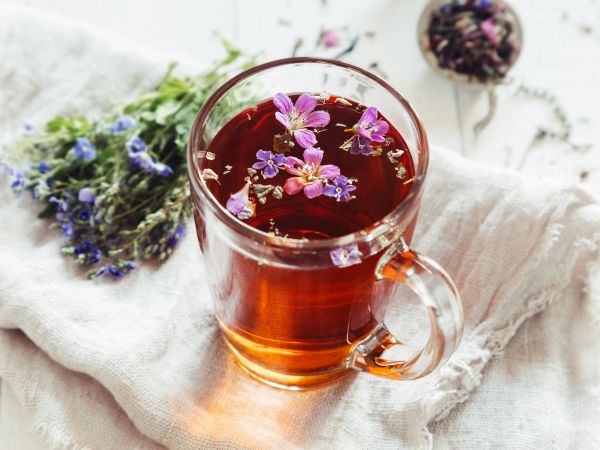 Une infusion de plantes et de fleurs sauvages automnales