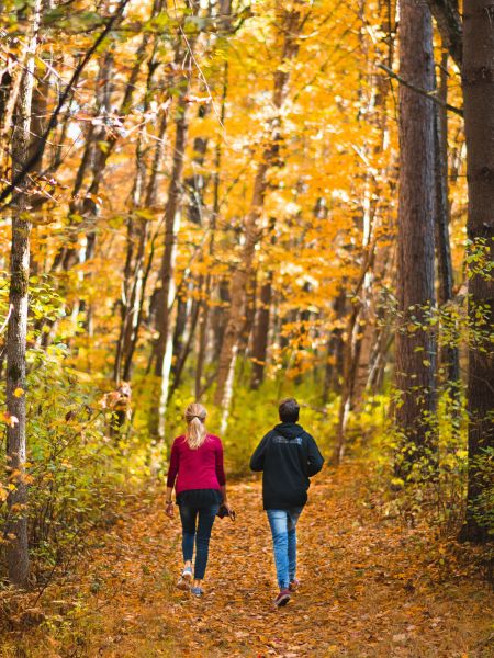 Femme et homme en balade dans une forêt en automne