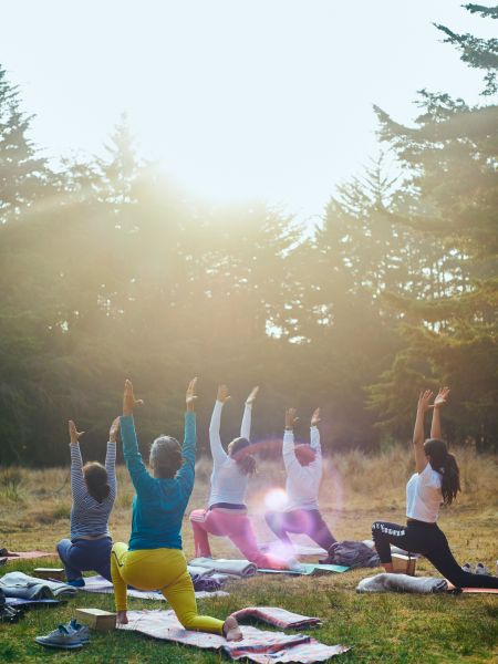 Un groupe de yogi font une salutation au soleil dans une clairière